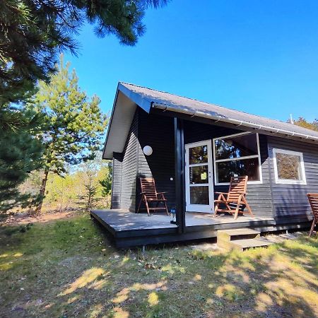 Tranum Klit Camping Og Hytteudlejning Brovst Экстерьер фото